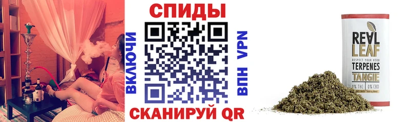БУТИРАТ 99%  Суздаль 