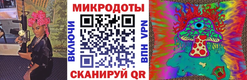 Галлюциногенные грибы Psilocybine cubensis  Суздаль 